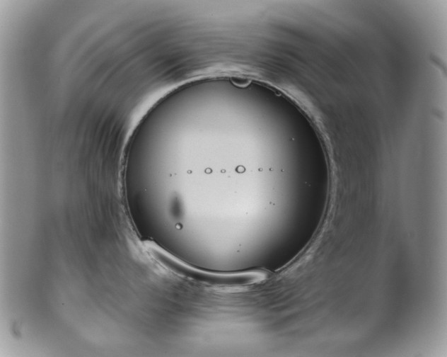 X0000100411296200806131028