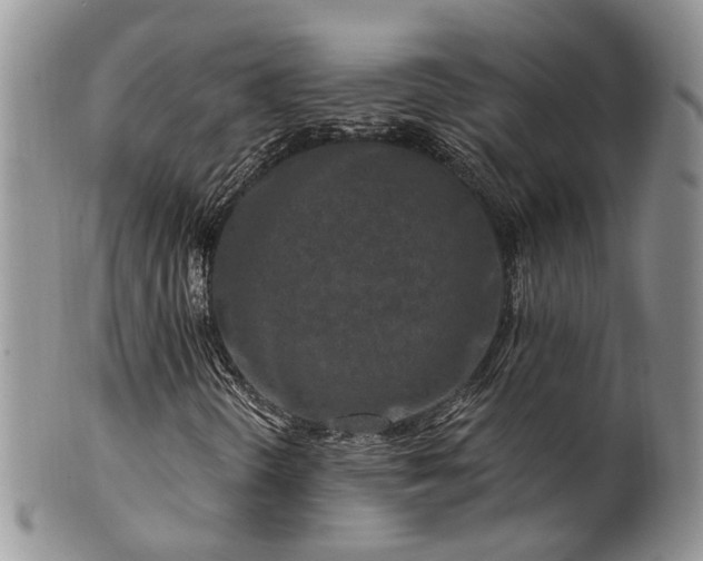 X0000100411298200806131027