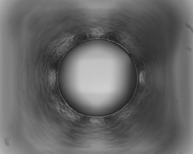 X0000100411299200806131027