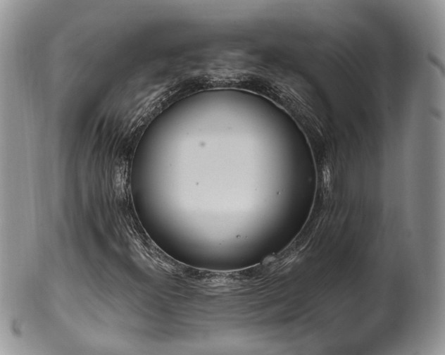 X0000100411300200806131027