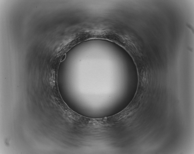 X0000100411301200806131027