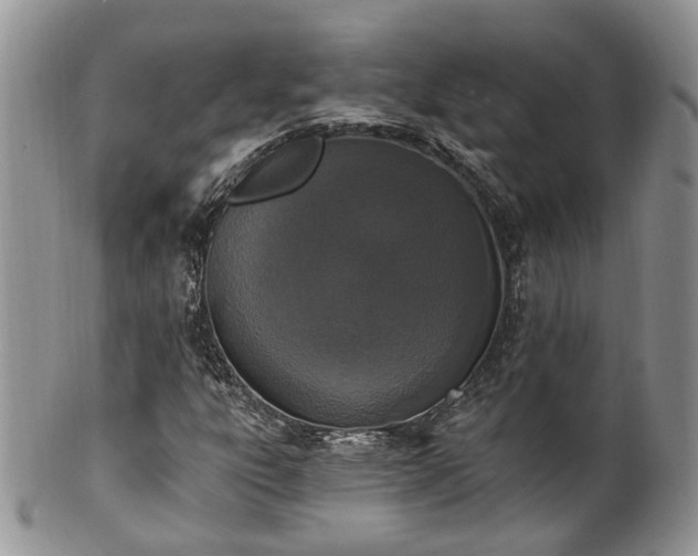 X0000100411303200806131027