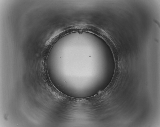 X0000100411304200806131027