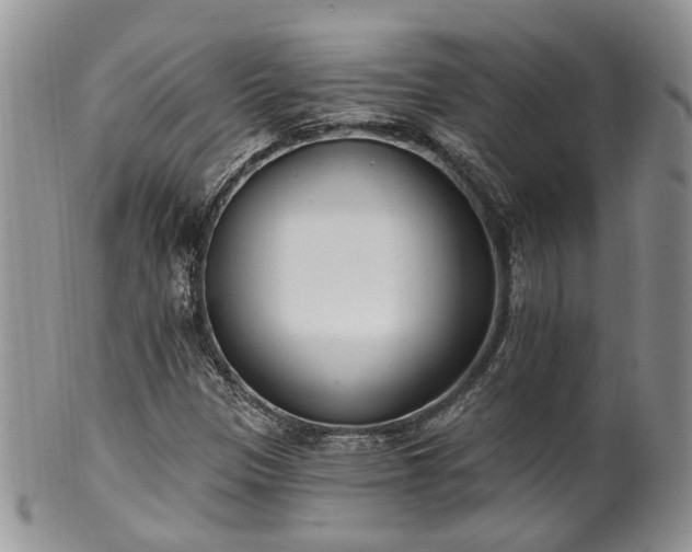 X0000100411305200806131027