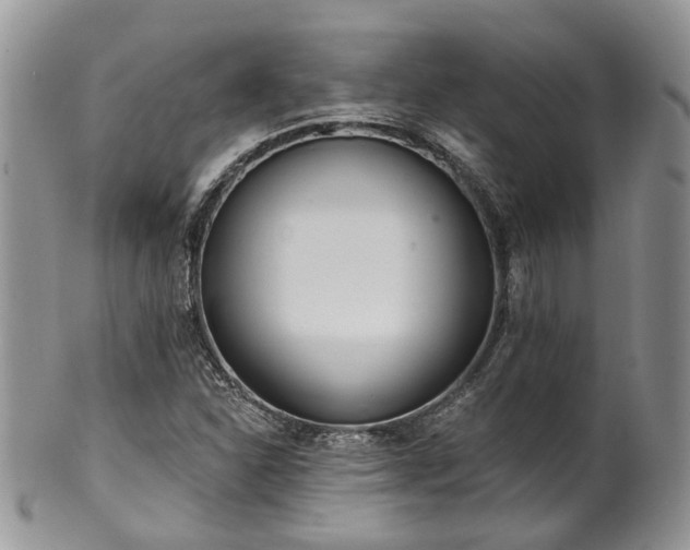 X0000100411310200806131027