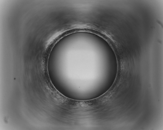 X0000100411311200806131027