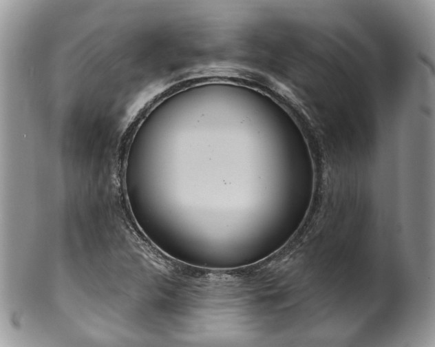 X0000100411312200806131027