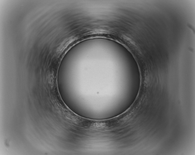 X0000100411313200806131027