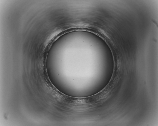 X0000100411315200806131027