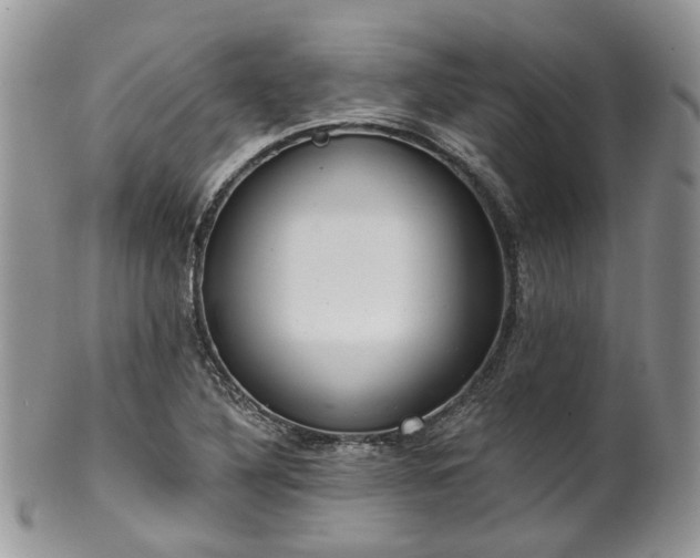 X0000100411316200806131027