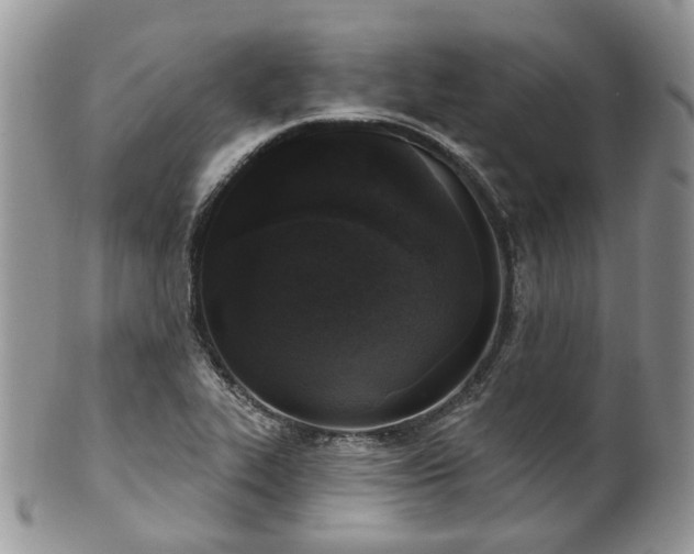 X0000100411319200806131027