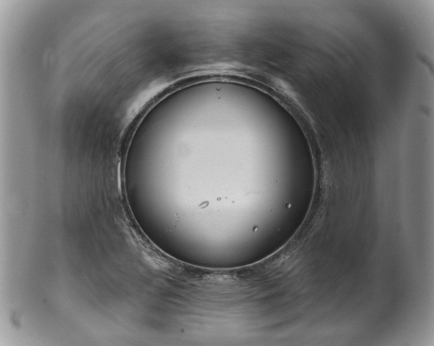 X0000100411320200806131027