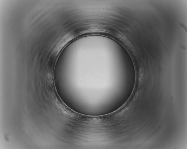 X0000100411321200806131027