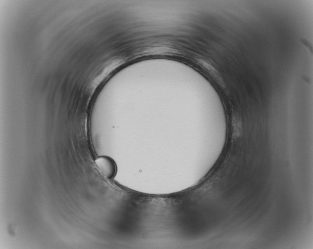 X0000100411322200806131027