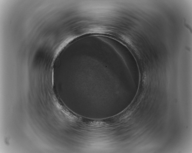 X0000100411323200806131027