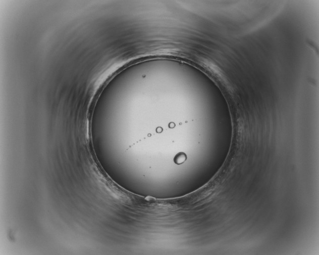 X0000100411324200806131027