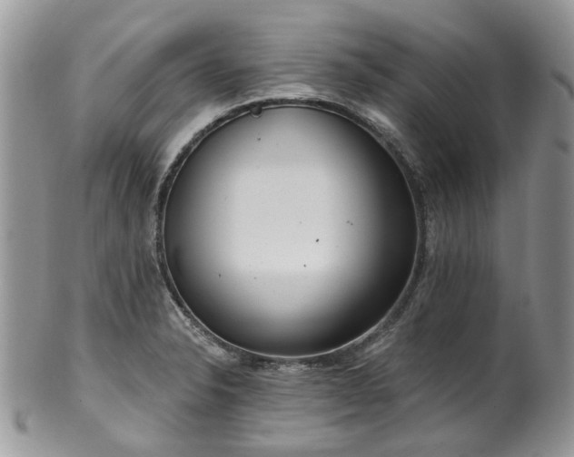 X0000100411326200806131027