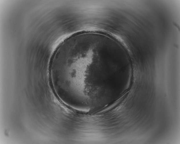 X0000100411327200806131027