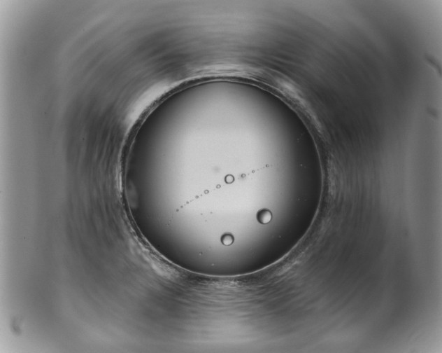 X0000100411328200806131027