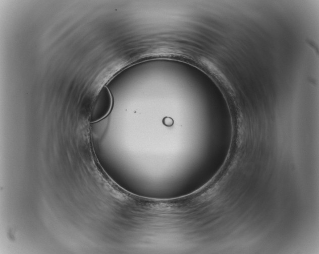 X0000100411329200806131027