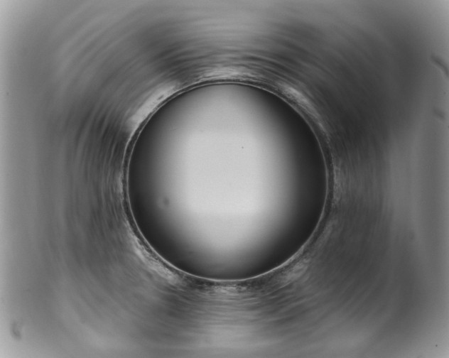 X0000100411330200806131027