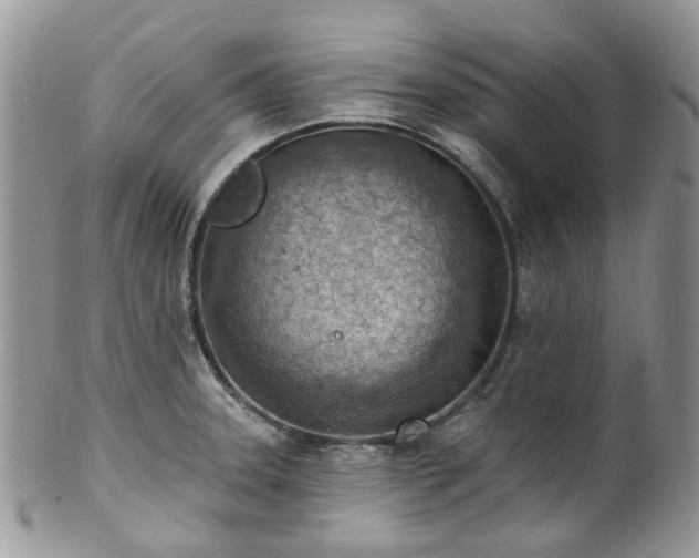 X0000100411331200806131027