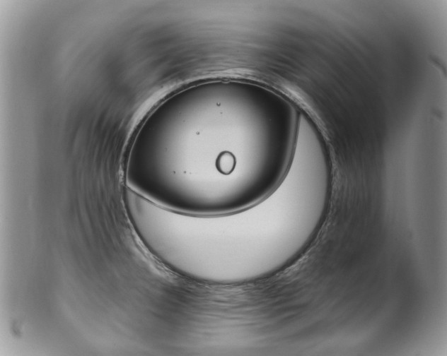 X0000100411332200806131027