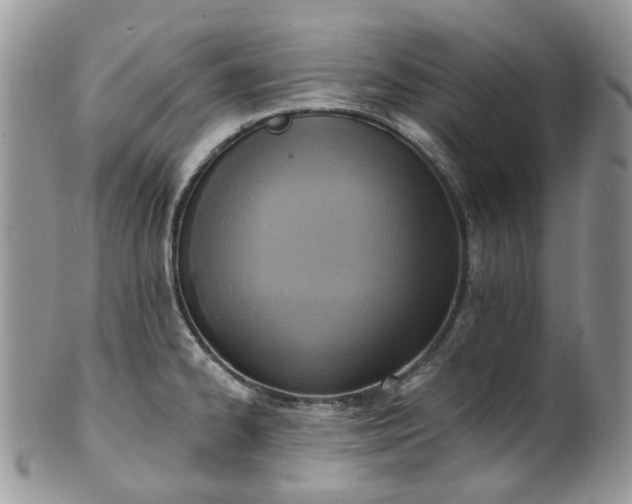 X0000100411334200806131027