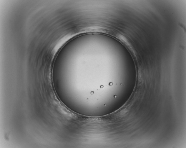 X0000100411336200806131027