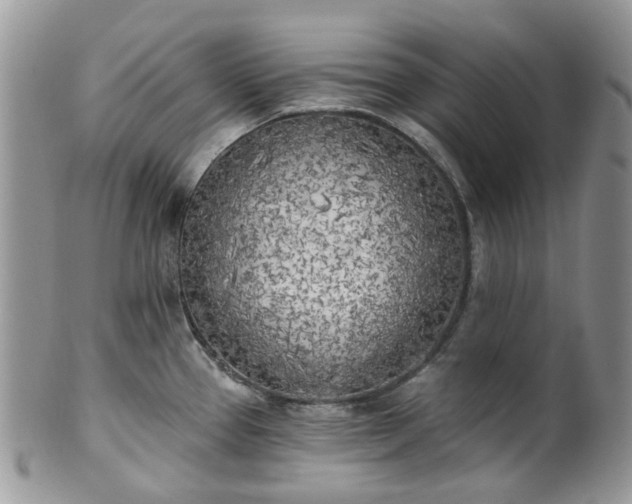 X0000100411337200806131027