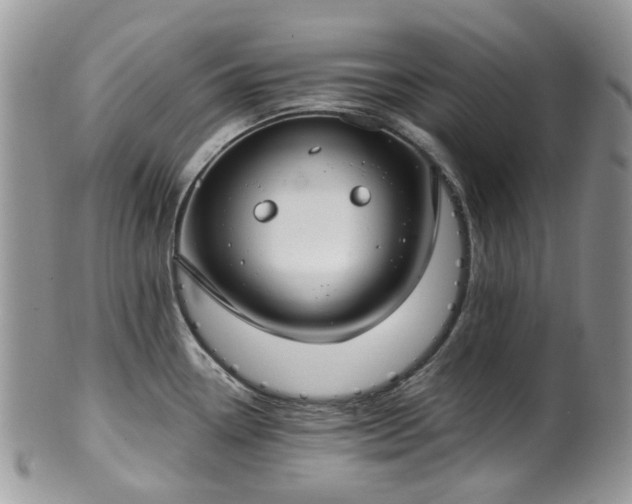 X0000100411338200806131027