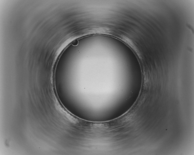 X0000100411339200806131027