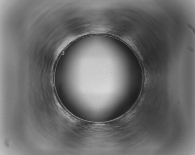 X0000100411342200806131027