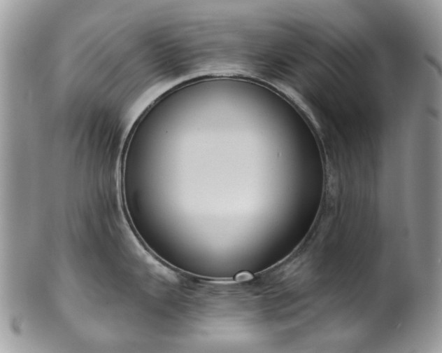 X0000100411343200806131027