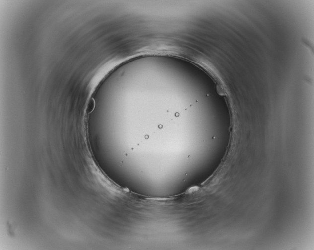 X0000100411344200806131027