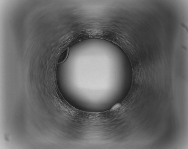 X0000100411345200806131027