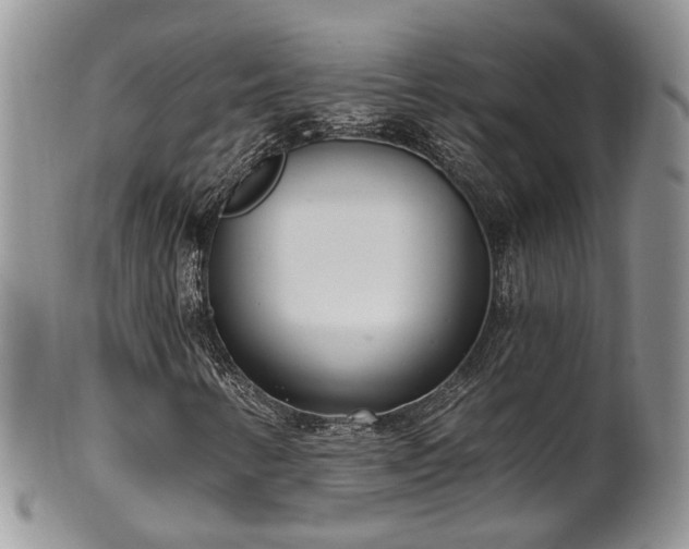 X0000100411346200806131027