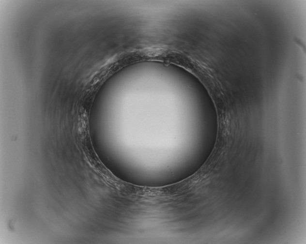 X0000100411349200806131027