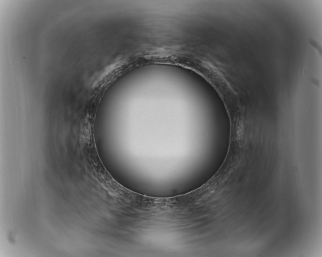 X0000100411350200806131027