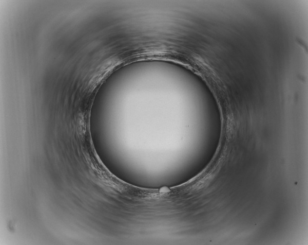 X0000100411353200806131027