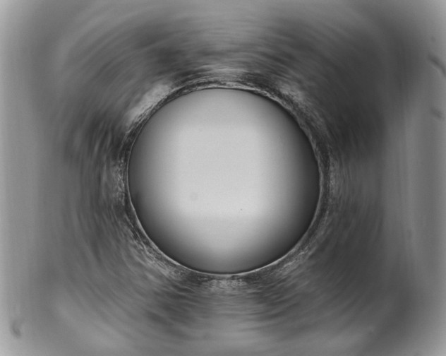 X0000100411354200806131027