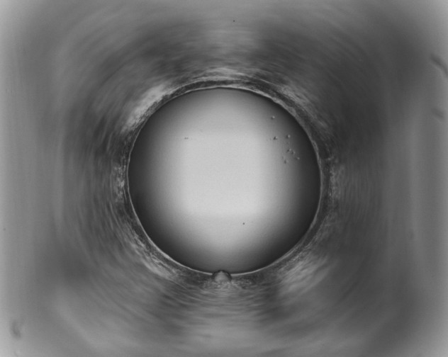 X0000100411355200806131027