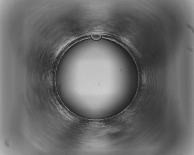 X0000100411356200806131027