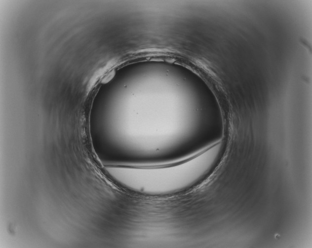 X0000100411357200806131026