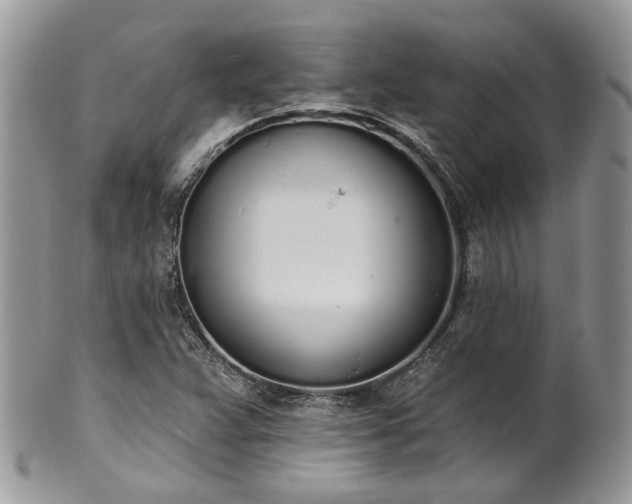 X0000100411359200806131026