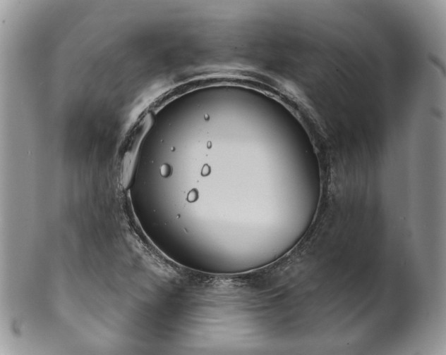 X0000100411360200806131026