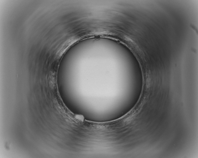 X0000100411361200806131026