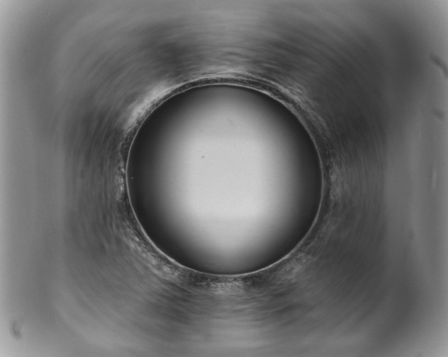 X0000100411363200806131026