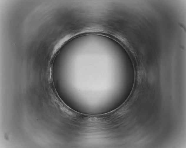 X0000100411366200806131026