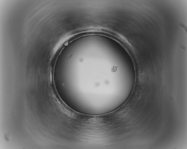 X0000100411368200806131026